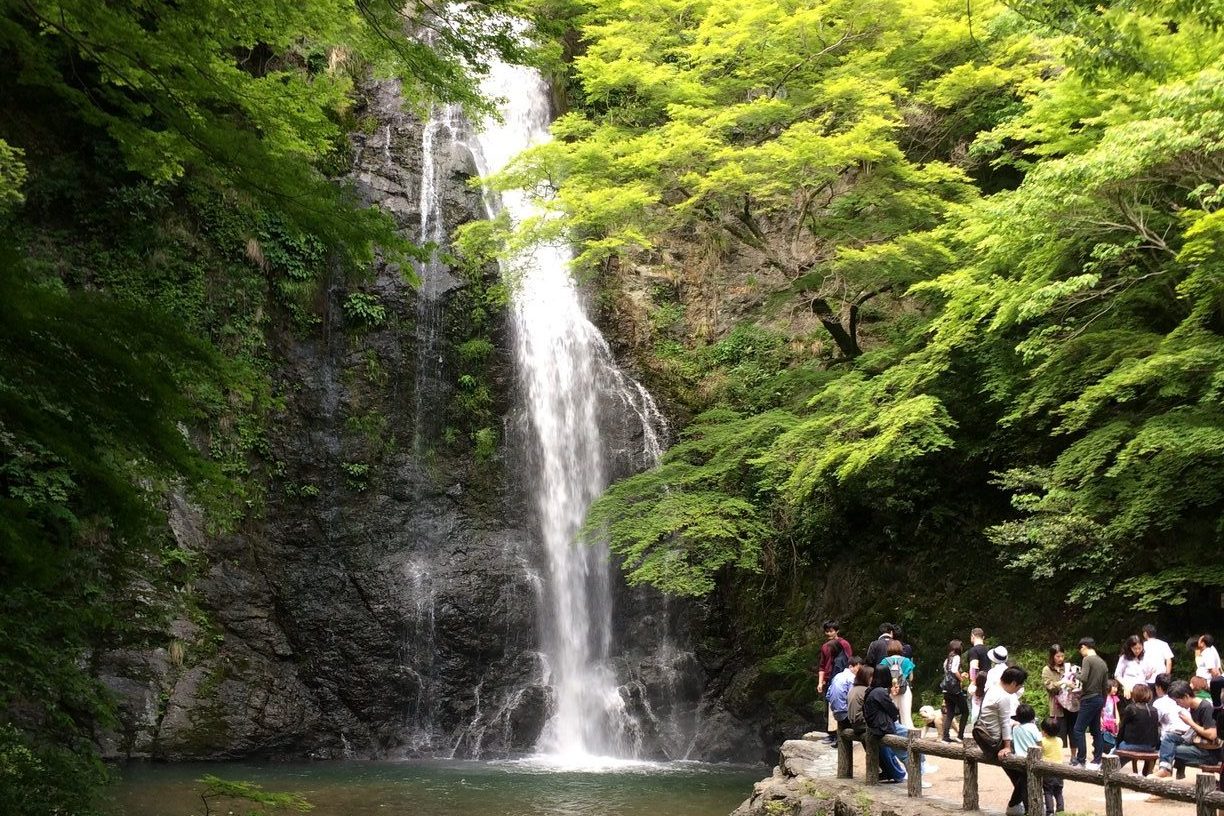 Picture of a waterfall and people standing by its side